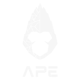 THE APE, Agência Criativa Digital